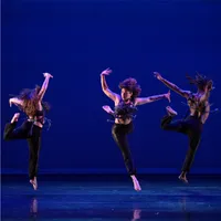 Adele Meyers Dance: A World Gone Fabulous